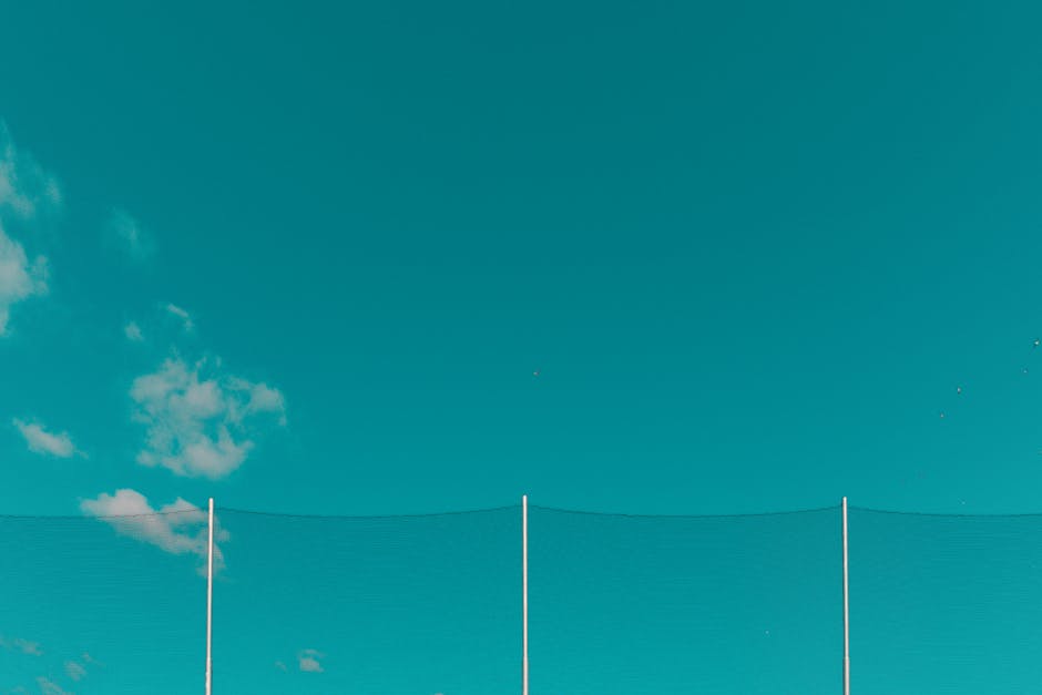 Global connectivity and network